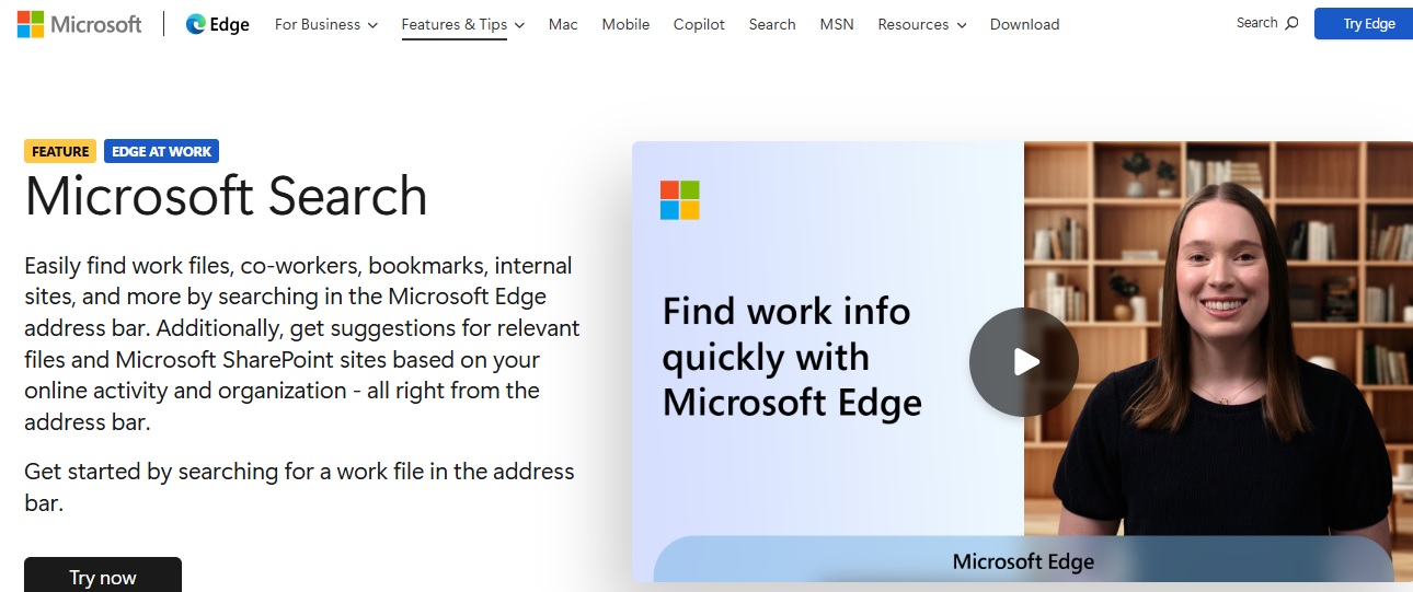 Microsoft Search 