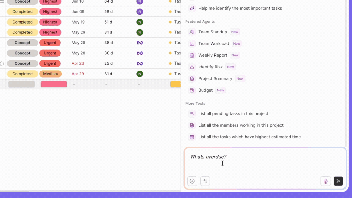 chat with project